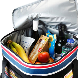 Icemax Picnic Coolbag - Cabin Max